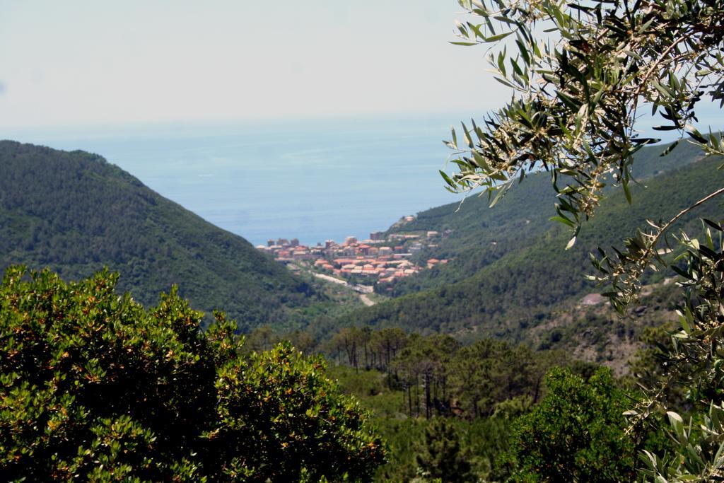 Hotel 5 Terre Nel Sole Deiva Marina Dış mekan fotoğraf